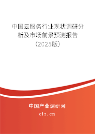 中國(guó)云服務(wù)行業(yè)現(xiàn)狀調(diào)研分析及市場(chǎng)前景預(yù)測(cè)報(bào)告（2025版）