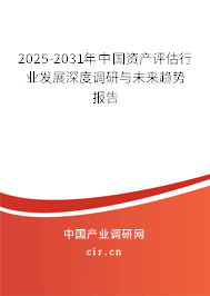 2025-2031年中國資產評估行業(yè)發(fā)展深度調研與未來趨勢報告