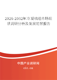2026-2032年冷凝機(jī)組市場現(xiàn)狀調(diào)研分析及發(fā)展前景報(bào)告