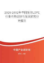 2026-2032年中國發(fā)泡LDPE行業(yè)市場調(diào)研與發(fā)展趨勢分析報告