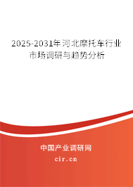 2025-2031年河北摩托車行業(yè)市場調(diào)研與趨勢分析