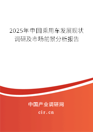 2025年中國乘用車發(fā)展現(xiàn)狀調(diào)研及市場前景分析報告