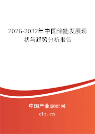 2026-2032年中國(guó)儲(chǔ)能發(fā)展現(xiàn)狀與趨勢(shì)分析報(bào)告