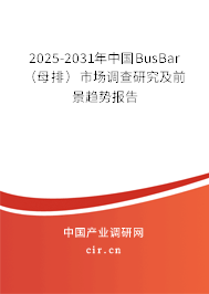 2025-2031年中國(guó)BusBar（母排）市場(chǎng)調(diào)查研究及前景趨勢(shì)報(bào)告