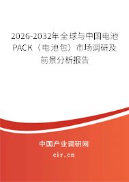 2026-2032年全球與中國電池PACK（電池包）市場調(diào)研及前景分析報(bào)告