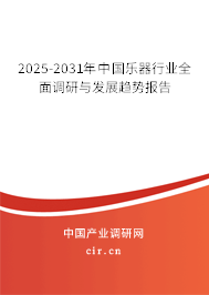 2025-2031年中國(guó)樂(lè)器行業(yè)全面調(diào)研與發(fā)展趨勢(shì)報(bào)告