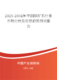 2025-2031年中國磷礦石行業(yè)市場(chǎng)分析及前景趨勢(shì)預(yù)測(cè)報(bào)告