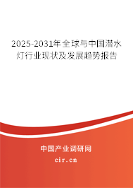 2025-2031年全球與中國(guó)潛水燈行業(yè)現(xiàn)狀及發(fā)展趨勢(shì)報(bào)告