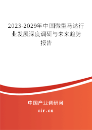 2023-2029年中國微型馬達行業(yè)發(fā)展深度調(diào)研與未來趨勢報告
