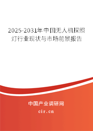 2025-2031年中國無人機(jī)探照燈行業(yè)現(xiàn)狀與市場前景報(bào)告