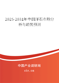 2025-2031年中國浮石市場分析與趨勢預(yù)測