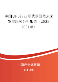 中國UPS行業(yè)現(xiàn)狀調(diào)研及未來發(fā)展趨勢分析報告（2025-2031年）