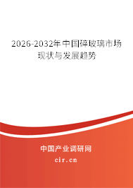 2025-2031年中國(guó)碎玻璃市場(chǎng)現(xiàn)狀與發(fā)展趨勢(shì)