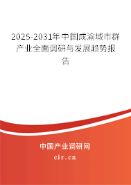 2025-2031年中國成渝城市群產(chǎn)業(yè)全面調(diào)研與發(fā)展趨勢報告