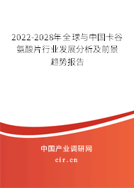 2022-2028年全球與中國(guó)卡谷氨酸片行業(yè)發(fā)展分析及前景趨勢(shì)報(bào)告