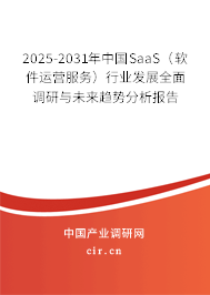 2025-2031年中國(guó)SaaS（軟件運(yùn)營(yíng)服務(wù)）行業(yè)發(fā)展全面調(diào)研與未來(lái)趨勢(shì)分析報(bào)告