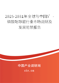 2025-2031年全球與中國5’-磷酸吡哆醛行業(yè)市場調(diào)研及發(fā)展前景報告