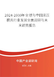2024-2030年全球與中國滾壓模具行業(yè)發(fā)展全面調研與未來趨勢報告