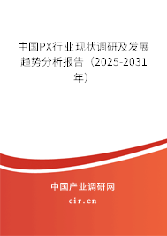 中國PX行業(yè)現(xiàn)狀調(diào)研及發(fā)展趨勢分析報告（2025-2031年）
