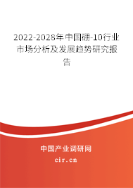 2022-2028年中國硼-10行業(yè)市場分析及發(fā)展趨勢研究報告