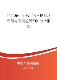 2025年中國WLAN市場現(xiàn)狀調(diào)研與發(fā)展前景預(yù)測分析報告