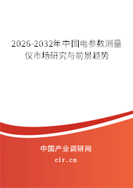 2026-2032年中國電參數(shù)測量儀市場研究與前景趨勢