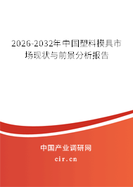 2026-2032年中國(guó)塑料模具市場(chǎng)現(xiàn)狀與前景分析報(bào)告