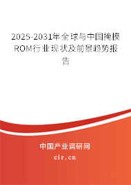 2025-2031年全球與中國(guó)掩模ROM行業(yè)現(xiàn)狀及前景趨勢(shì)報(bào)告