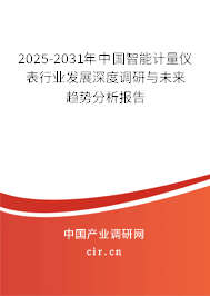 2025-2031年中國智能計量儀表行業(yè)發(fā)展深度調(diào)研與未來趨勢分析報告