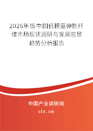 2026年版中國(guó)低模量彈性纖維市場(chǎng)現(xiàn)狀調(diào)研與發(fā)展前景趨勢(shì)分析報(bào)告