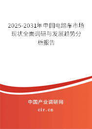 2025-2031年中國電踏車市場現(xiàn)狀全面調(diào)研與發(fā)展趨勢分析報告