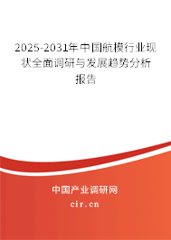 2025-2031年中國航模行業(yè)現(xiàn)狀全面調研與發(fā)展趨勢分析報告