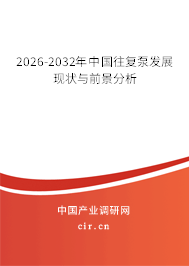 2026-2032年中國(guó)往復(fù)泵發(fā)展現(xiàn)狀與前景分析