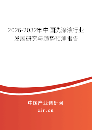 2026-2032年中國(guó)洗滌液行業(yè)發(fā)展研究與趨勢(shì)預(yù)測(cè)報(bào)告