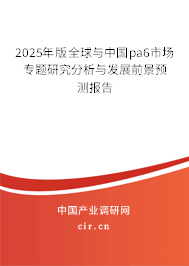 2025年版全球與中國(guó)pa6市場(chǎng)專題研究分析與發(fā)展前景預(yù)測(cè)報(bào)告