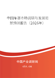 中國車罩市場調(diào)研與發(fā)展前景預測報告（2026年）