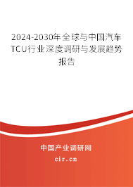 2024-2030年全球與中國汽車TCU行業(yè)深度調(diào)研與發(fā)展趨勢報告