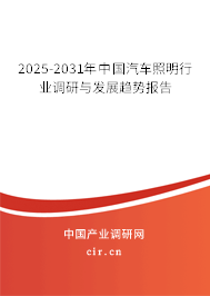 2025-2031年中國汽車照明行業(yè)調(diào)研與發(fā)展趨勢報(bào)告