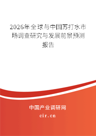 2026年全球與中國蘇打水市場調(diào)查研究與發(fā)展前景預(yù)測報(bào)告