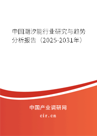 中國潮汐能行業(yè)研究與趨勢分析報告（2025-2031年）