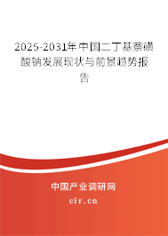 2025-2031年中國二丁基萘磺酸鈉發(fā)展現(xiàn)狀與前景趨勢報告