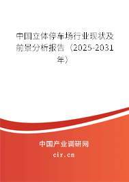 中國立體停車場行業(yè)現(xiàn)狀及前景分析報告（2025-2031年）