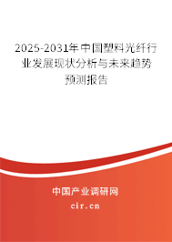 2025-2031年中國塑料光纖行業(yè)發(fā)展現狀分析與未來趨勢預測報告