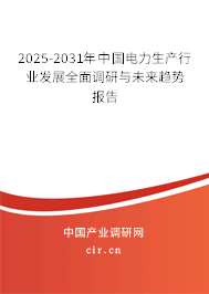 2025-2031年中國(guó)電力生產(chǎn)行業(yè)發(fā)展全面調(diào)研與未來(lái)趨勢(shì)報(bào)告