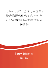 2024-2030年全球與中國MS聚合物混合粘合劑和密封劑行業(yè)深度調(diào)研與發(fā)展趨勢分析報告