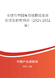 全球與中國車規(guī)級模組發(fā)展現(xiàn)狀及趨勢預(yù)測（2025-2031年）