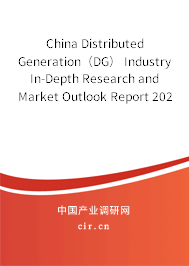 China Distributed Generation（DG） Industry In-Depth Research and Market Outlook Report 2021-2027
