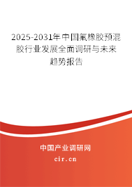 2025-2031年中國(guó)氟橡膠預(yù)混膠行業(yè)發(fā)展全面調(diào)研與未來(lái)趨勢(shì)報(bào)告