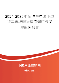 2024-2030年全球與中國小型貨車市場現(xiàn)狀深度調(diào)研與發(fā)展趨勢報告