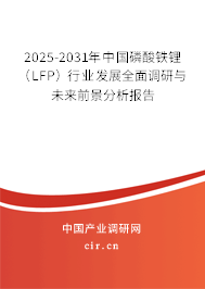 2025-2031年中國磷酸鐵鋰（LFP）行業(yè)發(fā)展全面調(diào)研與未來前景分析報告
